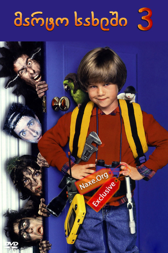მარტო სახლში 3 / Home Alone 3 მარტო სახლში 3 / Home Alone 3
