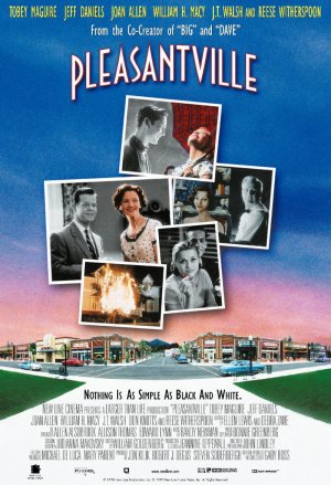 Pleasantville / ფლეზენთვილი (ქართულად)