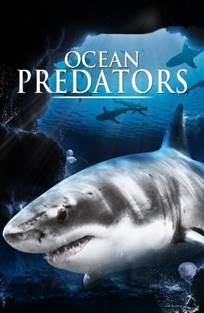 ოკეანის მტაცებლები / Ocean Predators ოკეანის მტაცებლები / Ocean Predators