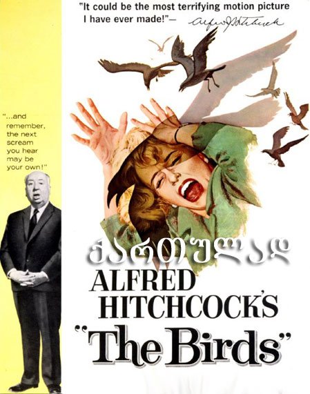 ფრინველები (ქართულად) / The Birds ფრინველები (ქართულად) / The Birds