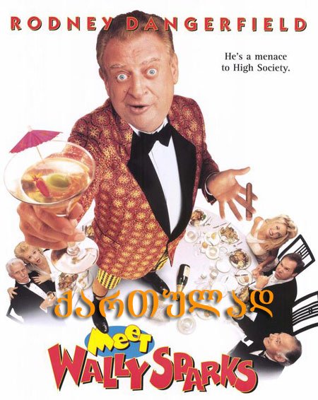 გაიცანი უოლი სპარქსი (ქართულად) / Meet Wally Sparks (qartulad) გაიცანი უოლი სპარქსი (ქართულად) / Meet Wally Sparks (qartulad)