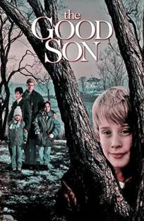კარგი შვილი / The Good Son კარგი შვილი / The Good Son