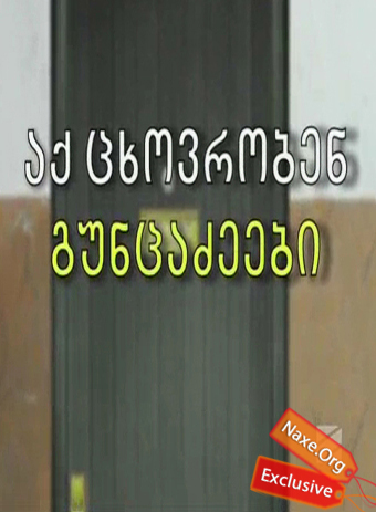 აქ, ცხოვრობენ გუნცაძეები / aq, cxovroben guncadzeebi აქ, ცხოვრობენ გუნცაძეები / aq, cxovroben guncadzeebi