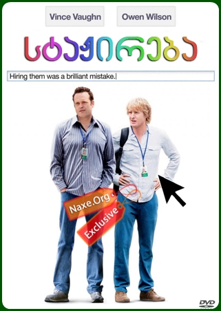 სტაჟირება / The Internship