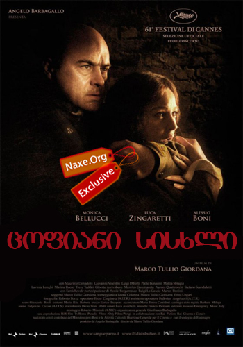 ცოფიანი სისხლი / Wild Blood / (ველური სისხლი) ცოფიანი სისხლი / Wild Blood / (ველური სისხლი)