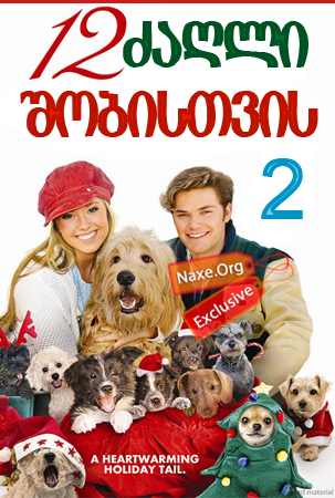 12 ძაღლი შობისთვის 2 / 12 Dogs of Christmas 2: Great Puppy Rescue 12 ძაღლი შობისთვის 2 / 12 Dogs of Christmas 2: Great Puppy Rescue