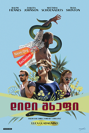 დიდი შხეფი / A Bigger Splash დიდი შხეფი / A Bigger Splash