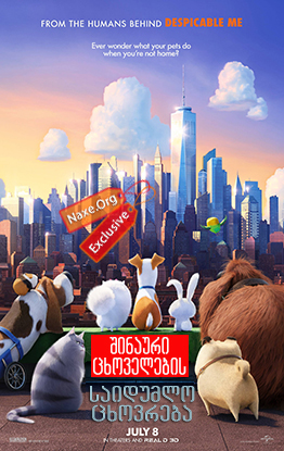 შინაური ცხოველების საიდუმლო ცხოვრება / The Secret Life of Pets შინაური ცხოველების საიდუმლო ცხოვრება / The Secret Life of Pets