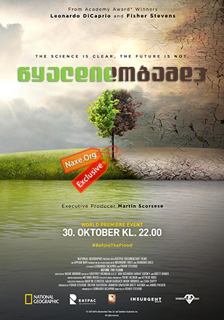 წყალდიდობამდე / Before the Flood წყალდიდობამდე / Before the Flood