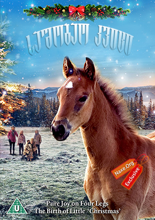 საშობაო კვიცი / The Christmas Colt საშობაო კვიცი / The Christmas Colt