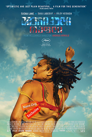 ამერიკული თაფლი (ქართულად) / American Honey / amerikuli tafli (qartulad) ამერიკული თაფლი (ქართულად) / American Honey / amerikuli tafli (qartulad)