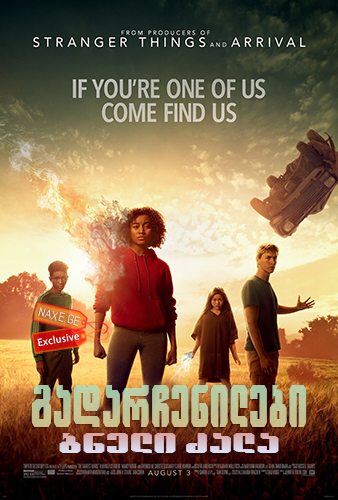 გადარჩენილები: ბნელი ძალა (ქართულად) / The Darkest Minds / gadarchenilebi: bneli zala (qartulad)