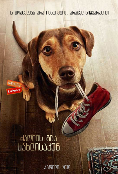 ძაღლის გზა სახლისკენ / A Dog’s Way Home ძაღლის გზა სახლისკენ / A Dog’s Way Home