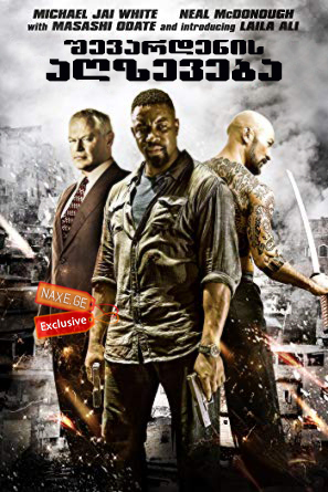 შევარდენის აღზევება / Falcon Rising