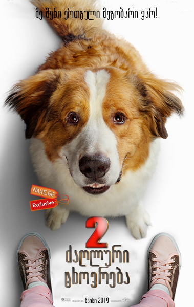ძაღლური ცხოვრება 2 / A Dog’s Journey 2 ძაღლური ცხოვრება 2 / A Dog’s Journey 2