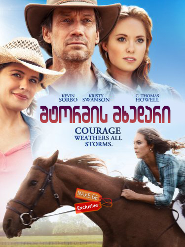შტორმის მხედარი (ქართულად) / Storm Rider / shtormis mxedari (qartulad) შტორმის მხედარი (ქართულად) / Storm Rider / shtormis mxedari (qartulad)