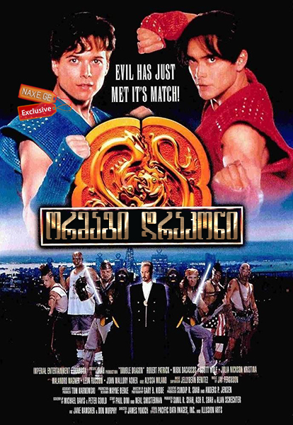 ორმაგი დრაკონი / Double Dragon ორმაგი დრაკონი / Double Dragon