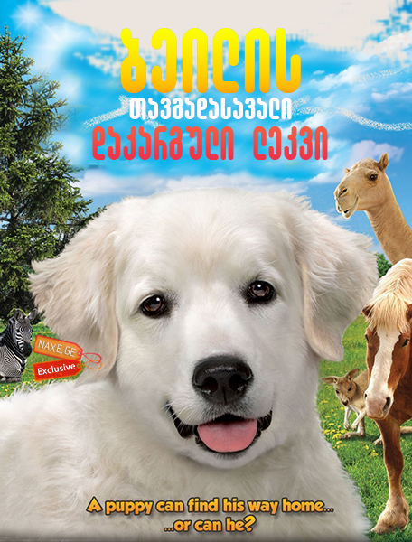ბეილის თავგადასავალი: დაკარგული ლეკვი / Adventures of Bailey: The Lost Puppy