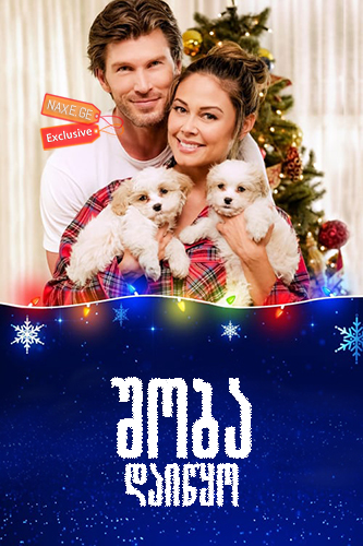 შობა დაიწყო / Christmas Unleashed შობა დაიწყო / Christmas Unleashed