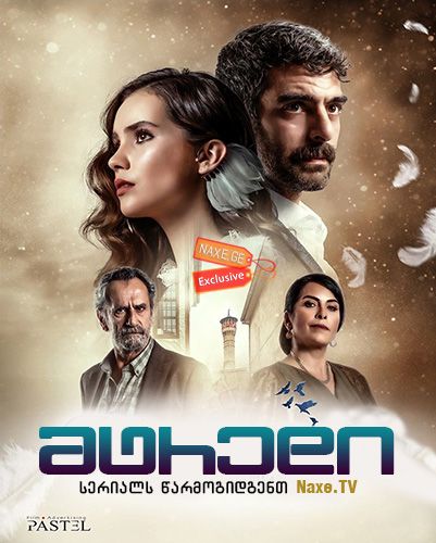 მტრედი / Güvercin (The Pigeon) მტრედი / Güvercin (The Pigeon)
