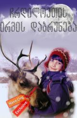 ჩრდილოეთის ირმის დაბრუნება / Prancer Returns