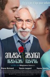 მისტერ შტაინი ინტერნეტს იპყრობს / Mr. Stein Goes