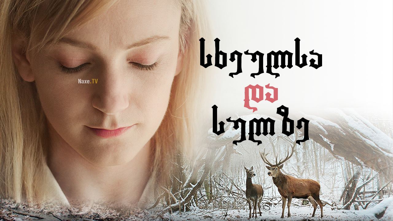 სხეულსა და სულზე / On Body and Soul (Testről és Lélekről) სხეულსა და სულზე / On Body and Soul (Testről és Lélekről)