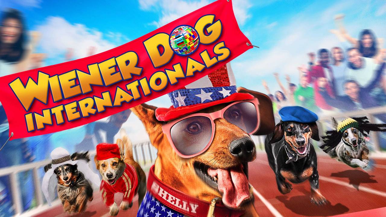 ძაღლების საერთაშორისო შეჯიბრი / Wiener Dog Internationals