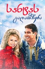 სანტას გადარჩენა / Defending Santa