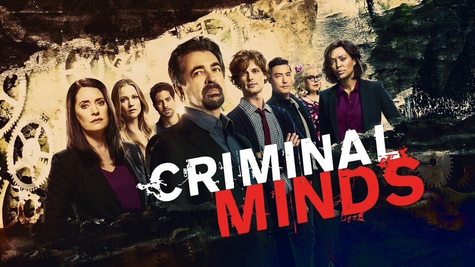 იფიქრო, როგორც დამნაშავემ / Criminal Minds