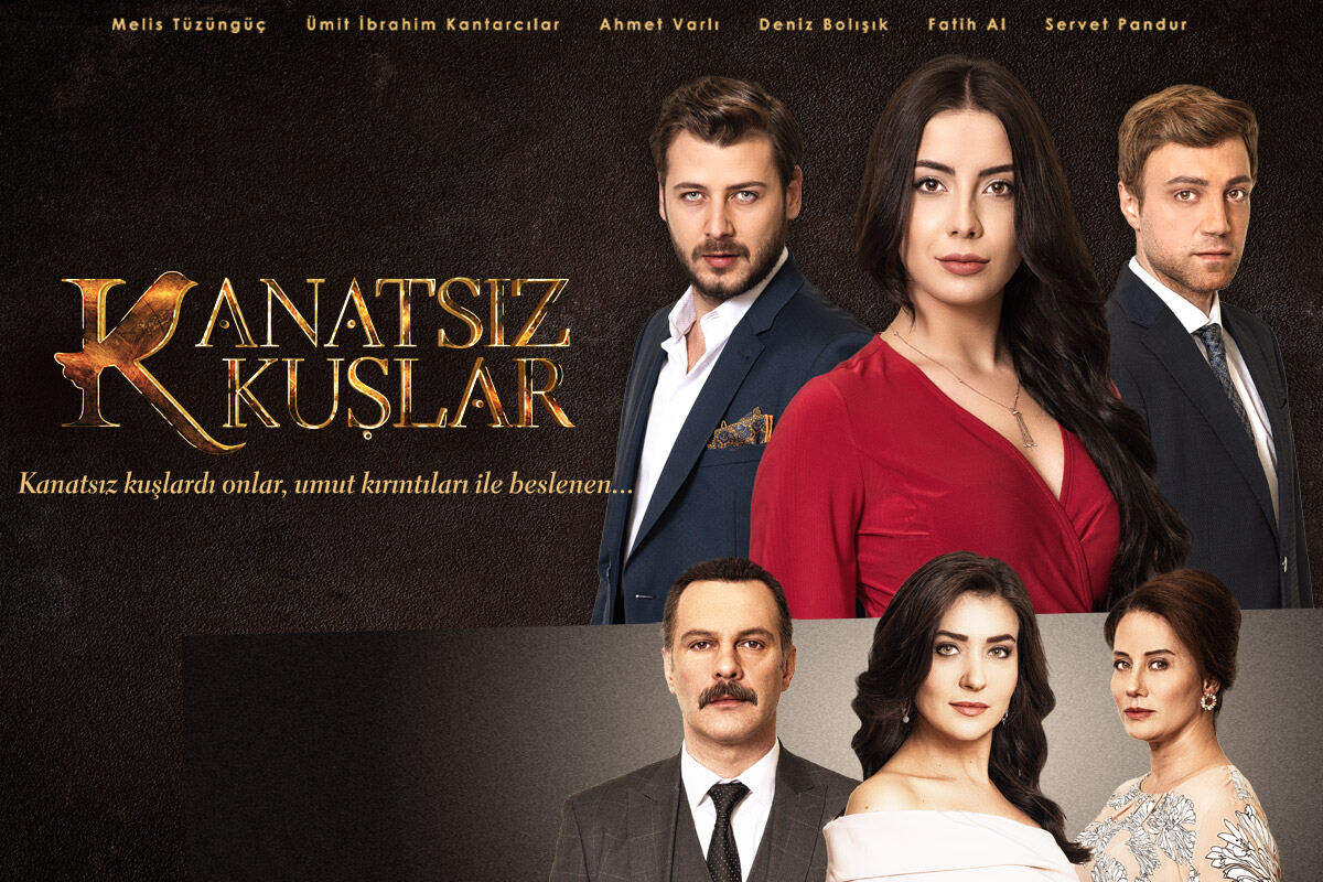 უფრთო ჩიტები / Kanatsiz Kuslar უფრთო ჩიტები / Kanatsiz Kuslar