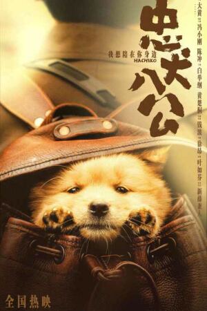 ბა ტონგი / Hachiko (Zhong quan ba gong)