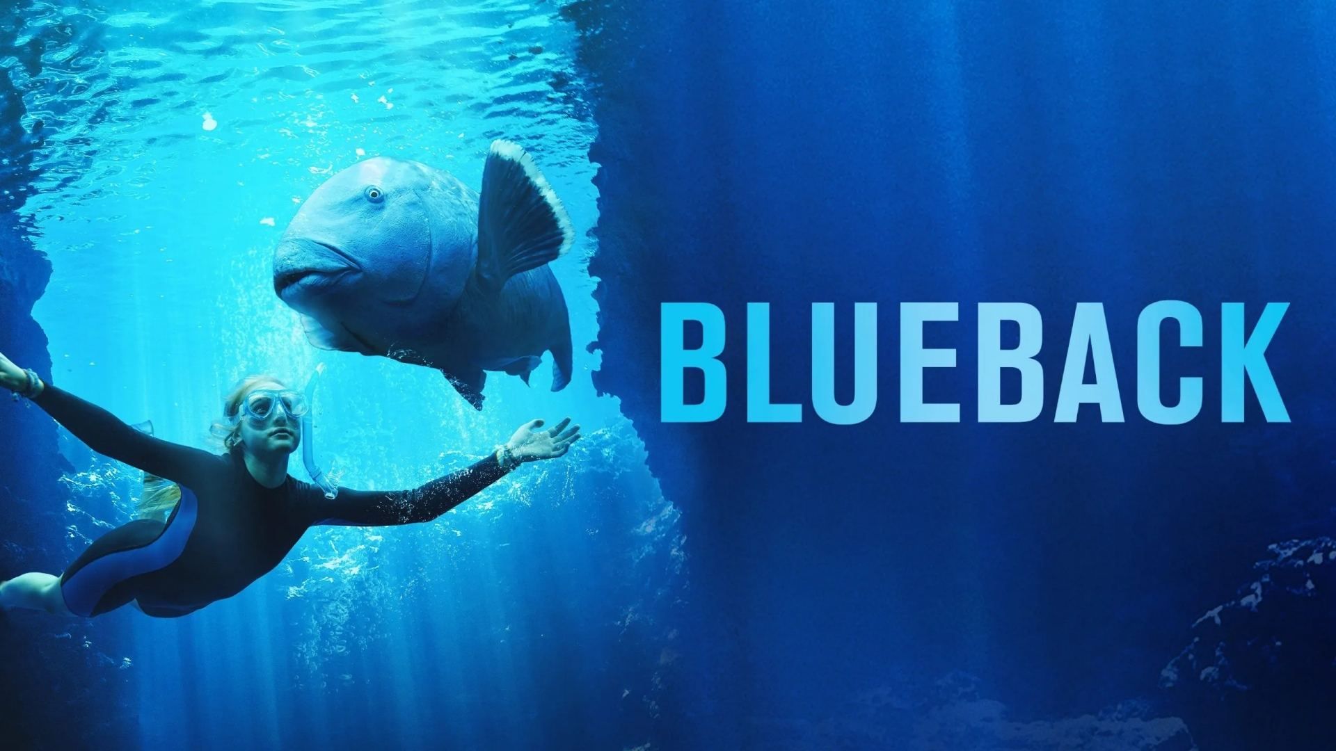 ლურჯი ბეკი / Blueback ლურჯი ბეკი / Blueback