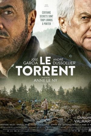 ნიაღვარი / Le torrent