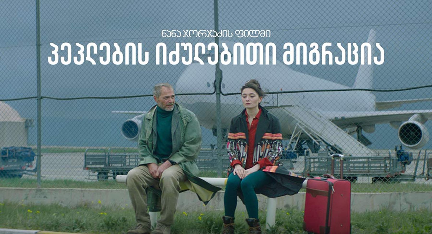 პეპლების იძულებითი მიგრაცია / Forced Migration of Butterflies პეპლების იძულებითი მიგრაცია / Forced Migration of Butterflies