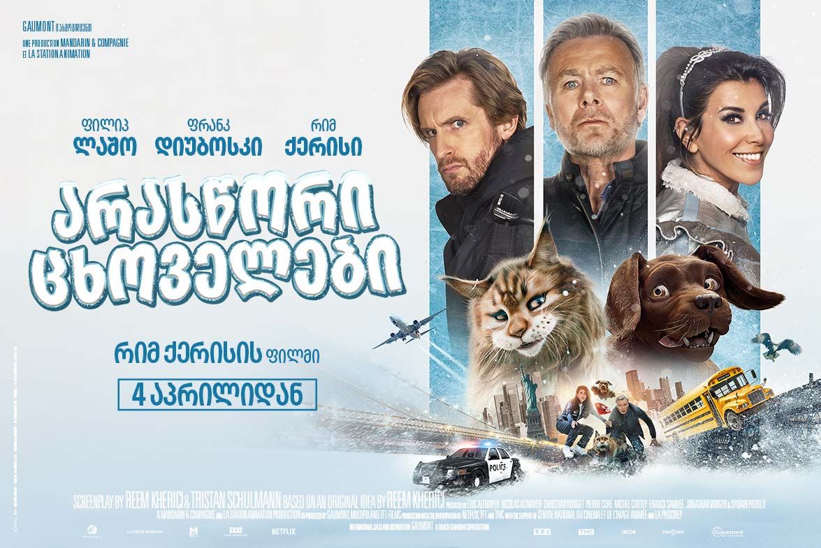 არასწორი ცხოველები / Cat and Dog არასწორი ცხოველები / Cat and Dog