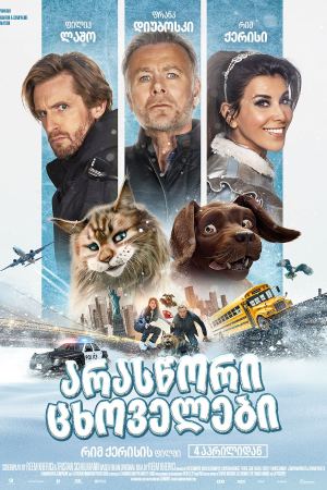 არასწორი ცხოველები / Cat and Dog არასწორი ცხოველები / Cat and Dog