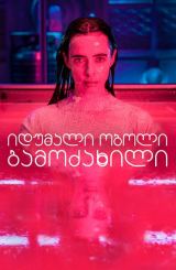 იდუმალი ობოლი: გამოძახილი / Orphan Black: Echoes