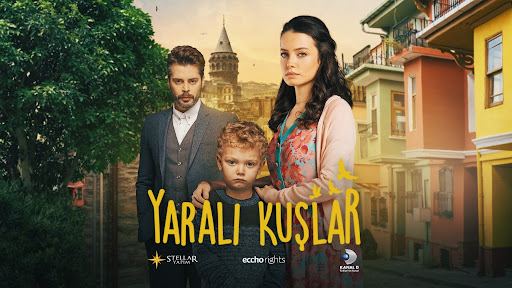 მოგონებების ზარდახშა (დაჭრილი ჩიტები) / Yarali Kuslar მოგონებების ზარდახშა (დაჭრილი ჩიტები) / Yarali Kuslar