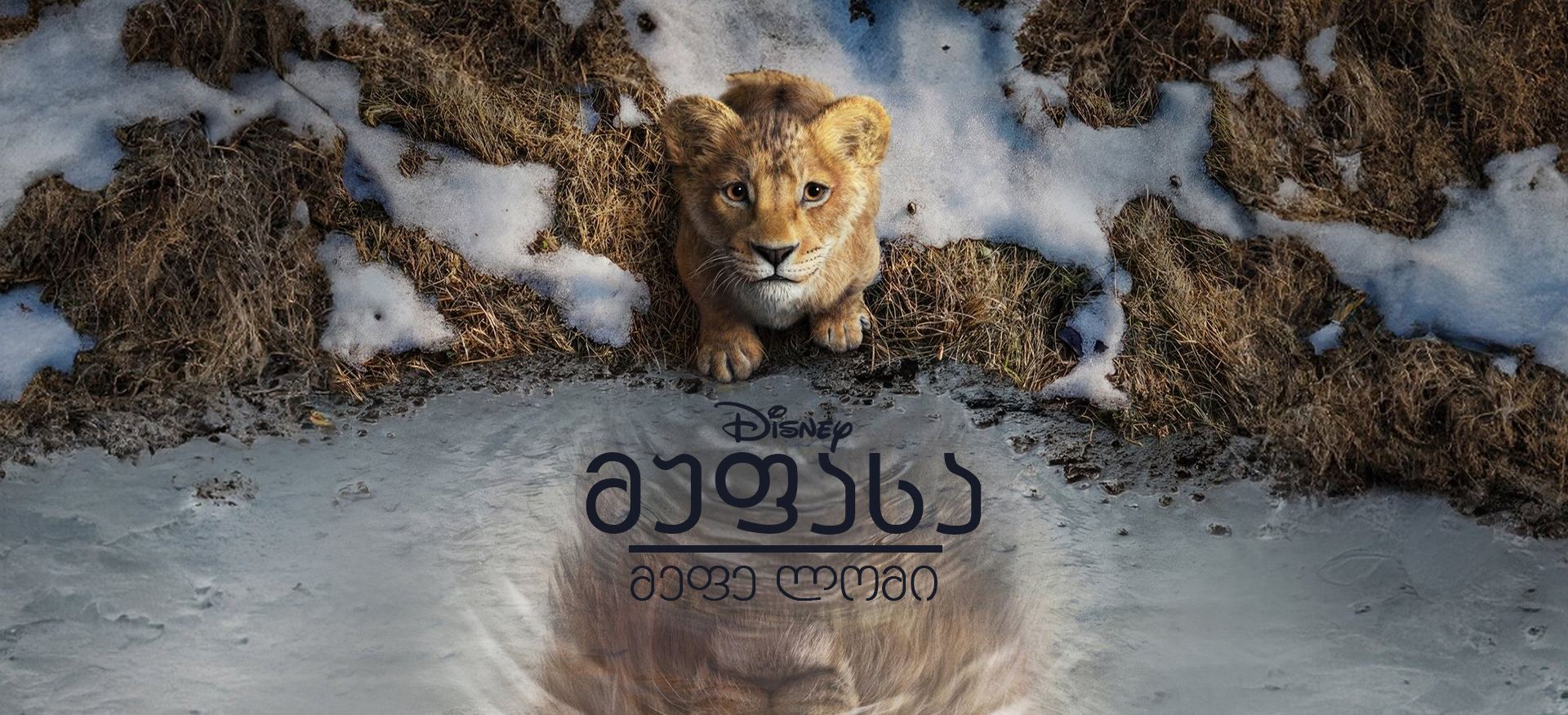 მუფასა: მეფე ლომი / Mufasa: The Lion King მუფასა: მეფე ლომი / Mufasa: The Lion King