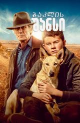 ბაკლის შანსი / Buckley’s Chance