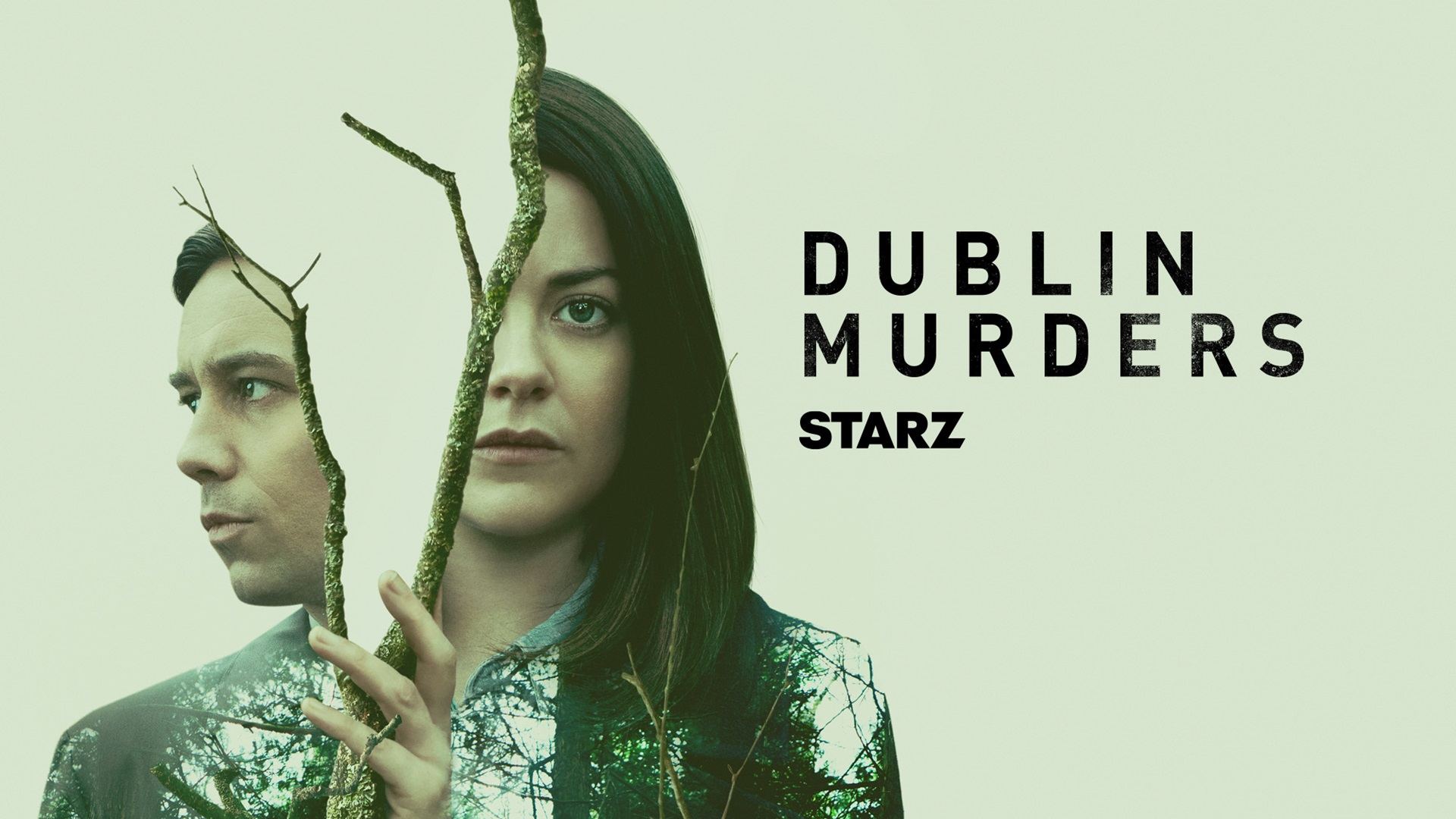 დუბლინის მკვლელობები / Dublin Murders დუბლინის მკვლელობები / Dublin Murders