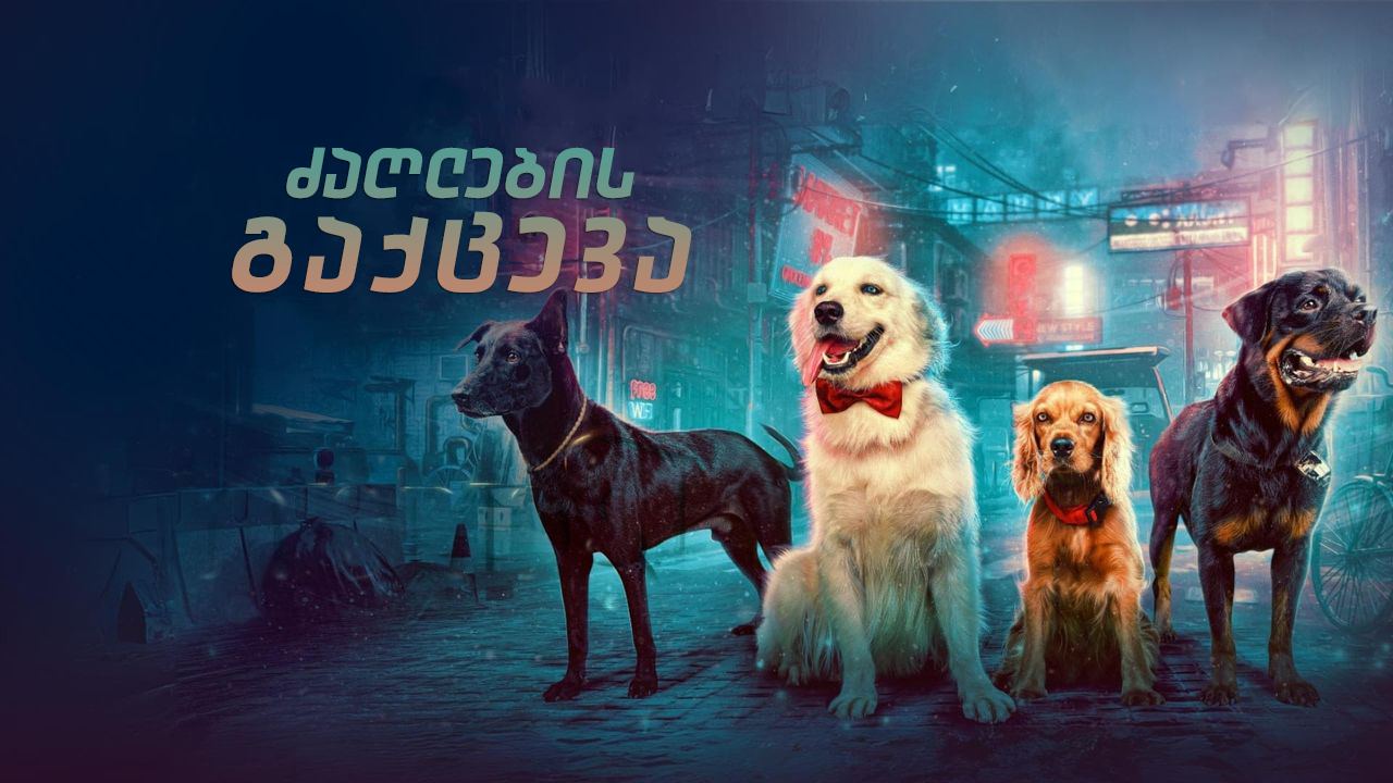 ძაღლების გაქცევა / Valatty ძაღლების გაქცევა / Valatty