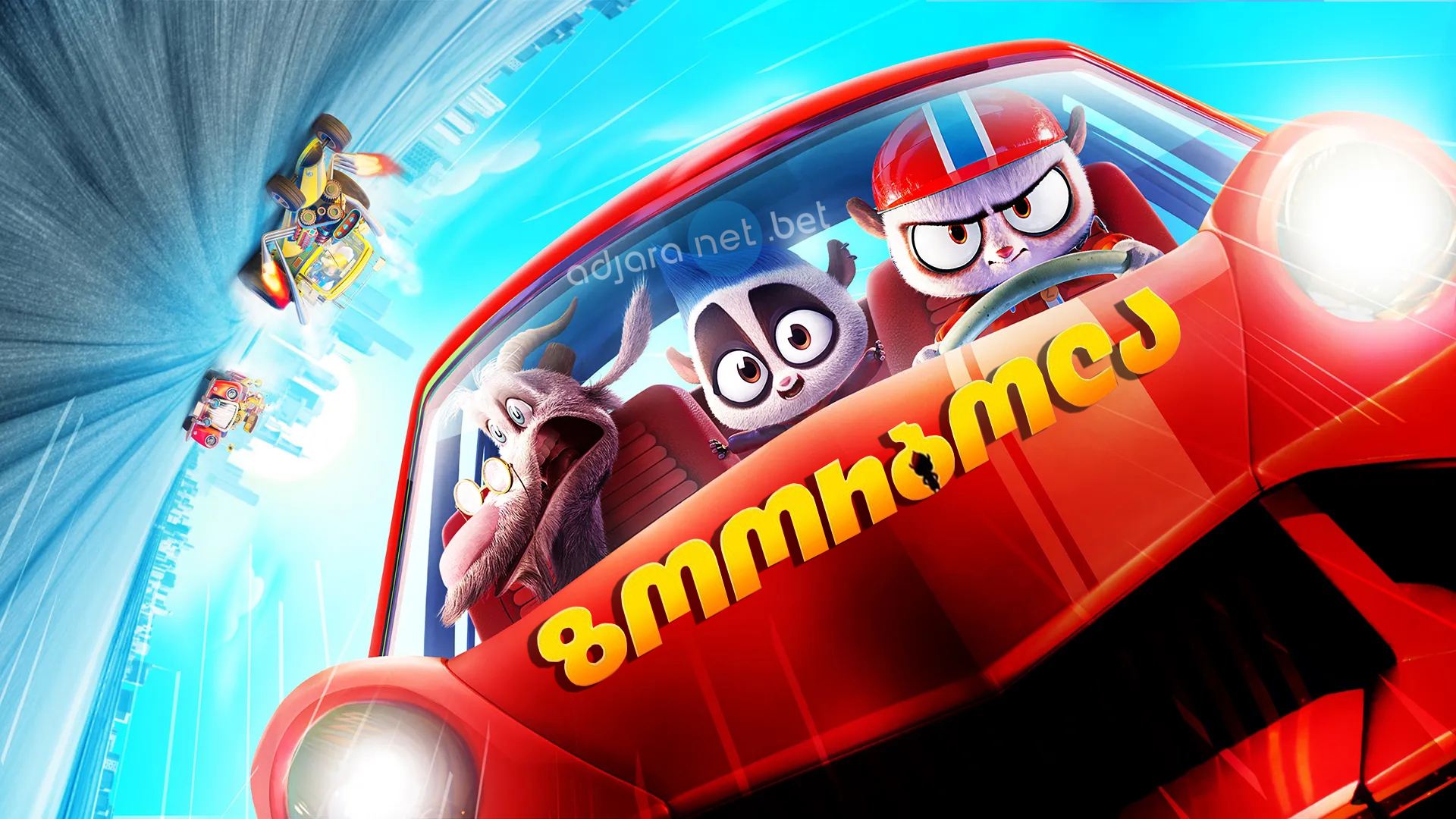 ზოორბოლა / Rally Road Racers ზოორბოლა / Rally Road Racers