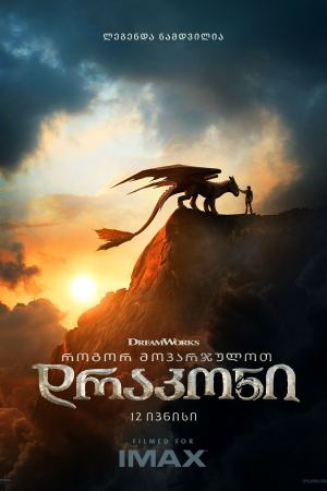 როგორ მოვარჯულოთ დრაკონი / How to Train Your Dragon როგორ მოვარჯულოთ დრაკონი / How to Train Your Dragon