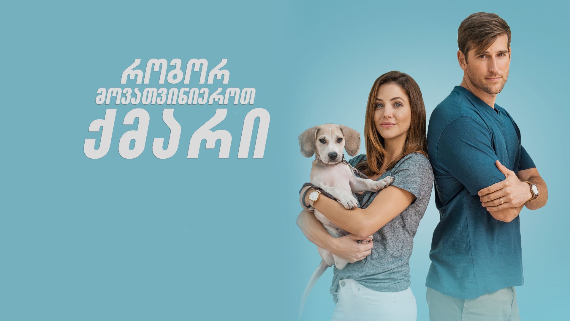 როგორ მოვათვინიეროთ ქმარი / How to Train Your Husband როგორ მოვათვინიეროთ ქმარი / How to Train Your Husband