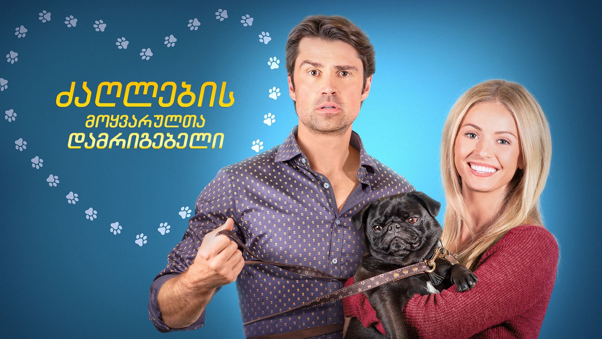 ძაღლების მოყვარულთა დამრიგებელი / The Dog Lover's Guide to Dating ძაღლების მოყვარულთა დამრიგებელი / The Dog Lover's Guide to Dating
