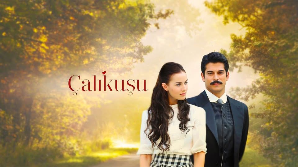 ნარჩიტა / Çalikusu ნარჩიტა / Çalikusu