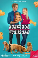 ყველგან ლეკვები / Everything Puppies