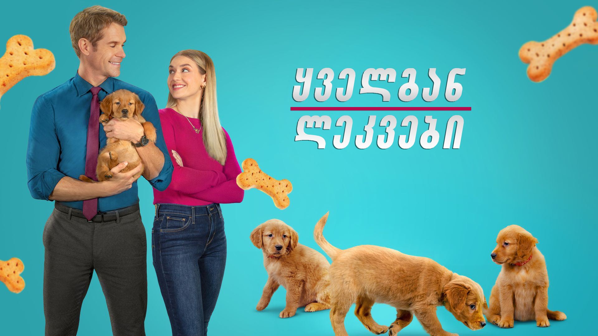 ყველგან ლეკვები / Everything Puppies ყველგან ლეკვები / Everything Puppies